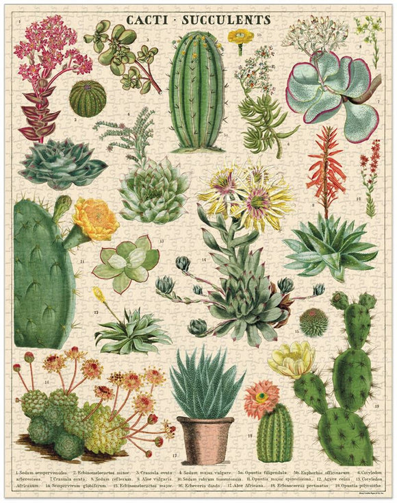 Cavallini & Co - Cacti & Succulents 1000 Pce - Vintage Puzzle
