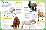 My Book of Horses and Ponies A Fact-Filled Guide to Your Equine Friends - DK