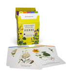 A Kitchen Full of Herbs: A Practical Card Deck - Holly Farrell