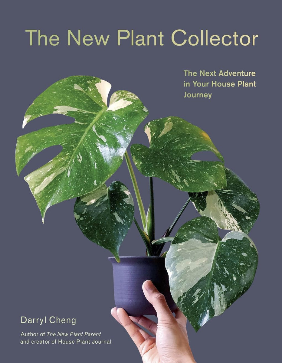 darryl cheng house plant journal The New Plant Collector: The Next Adventure in Your House Plant Journe –  EmmasatOxford