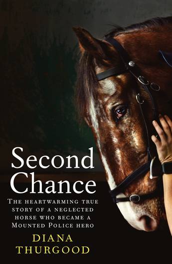 Second Chance - Diana Thurgood
