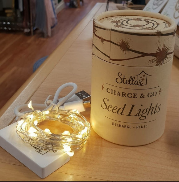 Seed Lights - Charge & Go with USB -Silver