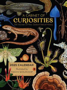 2025 Calendar - A Cabinet of Curiosities: Wolfkamp & Stone, Tanya Wolfkamp