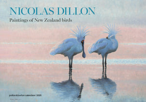 2025 Calendar - Nicolas Dillon Paintings of New Zealand Birds