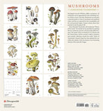 2025 Wall Calendar - Mushrooms