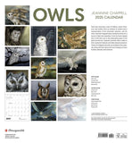 2025 Wall Calendar - Owls