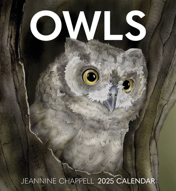 2025 Wall Calendar - Owls