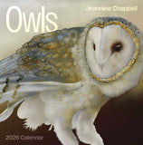 2026 calendar cover featuring an owl with 'Jeannine Chappell' text