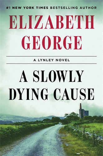 Book cover of 'A Slowly Dying Cause' by Elizabeth George with a scenic road and church.