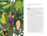 Around the World in 80 Plants - Jonathon Drori