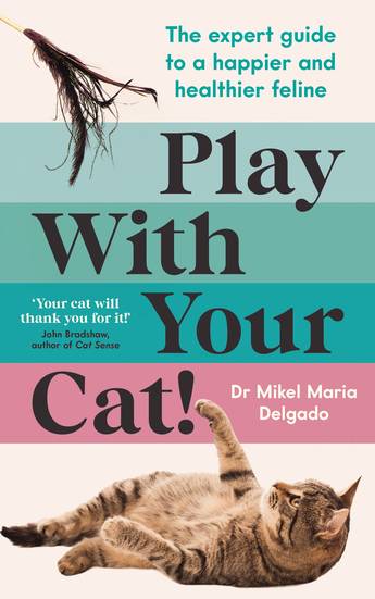 Play-With-Your-Cat