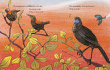 Illustrated children's book page featuring three birds perched on branches against a warm orange sky, with English and Māori text printed on the page.