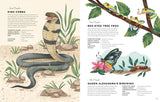 An Animal A Day: 365 Dinosaurs To Take You Through The Year - Miranda Smith