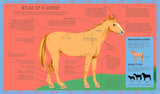 Lonely Planet Kids - Atlas of Horses & Ponies