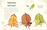 DK An Anthology of Remarkable Bugs - Jess French
