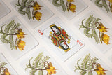 Playing Cards - Native Flora of New Zealand - 2 Decks