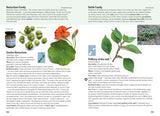 Edible Weeds Handbook: A field guide to the introduced edible wild plants of New Zealand - Andrew Crowe