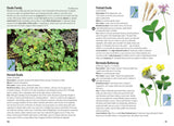 Edible Weeds Handbook: A field guide to the introduced edible wild plants of New Zealand - Andrew Crowe