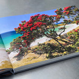 Land of Light: Collectors Edition Book - Peter Latham