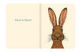 Here is Hare - Laura Shallcrass