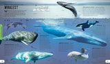 Where In The World Can I See - Lonely Planet Kids