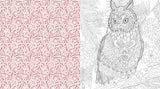 Woodlandcore Colouring Book - Chartwell Colouring Books