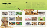 Animals: A Visual Compendium - DK