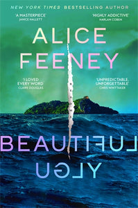 Beautiful Ugly -Alice Feeney