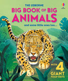 Usborne Big Book of Big Animals