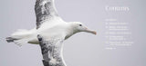 Birdlands: Up Close and Personal with the Birds of Remote New Zealand - Edin Whitehead PRE-ORDER