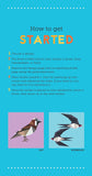 My Sticker Paintings - Birds