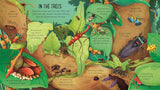 Look Inside Bug World - Usborne Lift-the-flap
