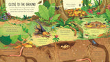Look Inside Bug World - Usborne Lift-the-flap