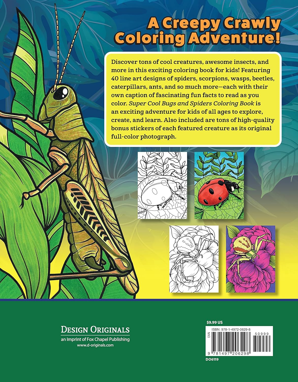 Super Cool Bugs and Spiders Coloring Book: Color and Learn About Amazing  Insects from the Around the World 
