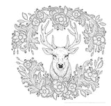 Forest Mandalas Coloring Book - Fun Woodland Creatures and Scenes to Color