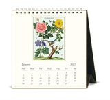 2025 Desk Calendar - Cavallini & Co: Floreale