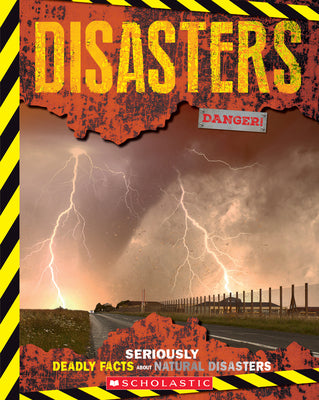 Book cover of 'Disasters' with a stormy sky and road, featuring Scholastic branding.