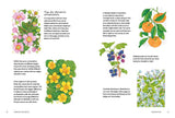 Rewild Your Drawing: How to draw botanicals - Marta Glowacka