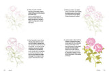 Rewild Your Drawing: How to draw botanicals - Marta Glowacka