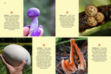 Fungi of Aotearoa : A Curious Forager's Field Guide - Liv Sisson