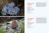Fungi of Aotearoa : A Curious Forager's Field Guide - Liv Sisson