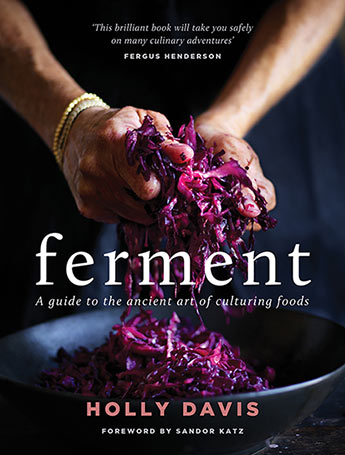 Ferment: A guide to the ancient art of making cultured foods - Holly Davis