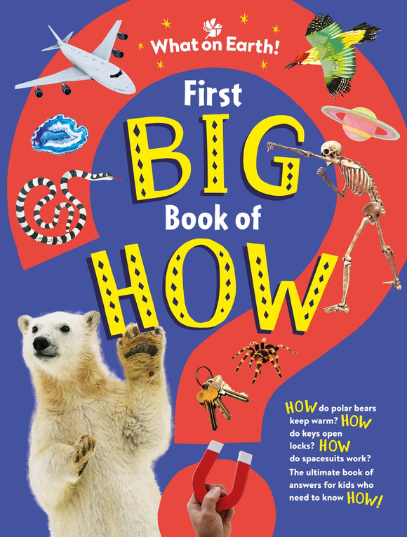 First Big Book of How - Sally Symes