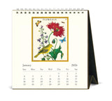 2026 Desk Calendar - Cavallini & Co Floreale