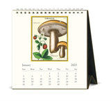 2025 Desk Calendar - Cavallini & Co: Foraging