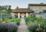 The Fragrant Flower Garden: Growing, Arranging & Preserving Natural Scents - Stefani Bittner & Alethea Harampolis