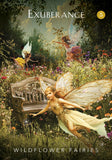 The Mystical Garden Oracle: A 44-Card Deck & Guidebook - Denise Linn