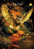The Mystical Garden Oracle: A 44-Card Deck & Guidebook - Denise Linn