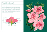 Horti-Curious: A Gardener’s Miscellany of Fascinating Facts and Remarkable Plants - Ann Treneman