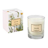 George & Edi Perfumed Soy Candles - 250g
